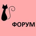 Женский Форум, Общение Форум на женские темы Vedmochki.ru Ведьмочки
