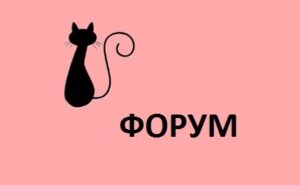 Женский Форум, Общение Форум на женские темы Vedmochki.ru Ведьмочки